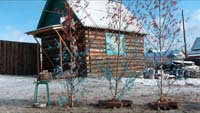 Shamanistic ceremony, Tulunzha near Ulan-Ude, November 2009