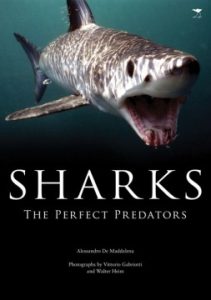 Sharks the perfect predators