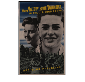 Poster showing head-and-shoulders of a boy & a girl superimposed above youths picking potatoes.