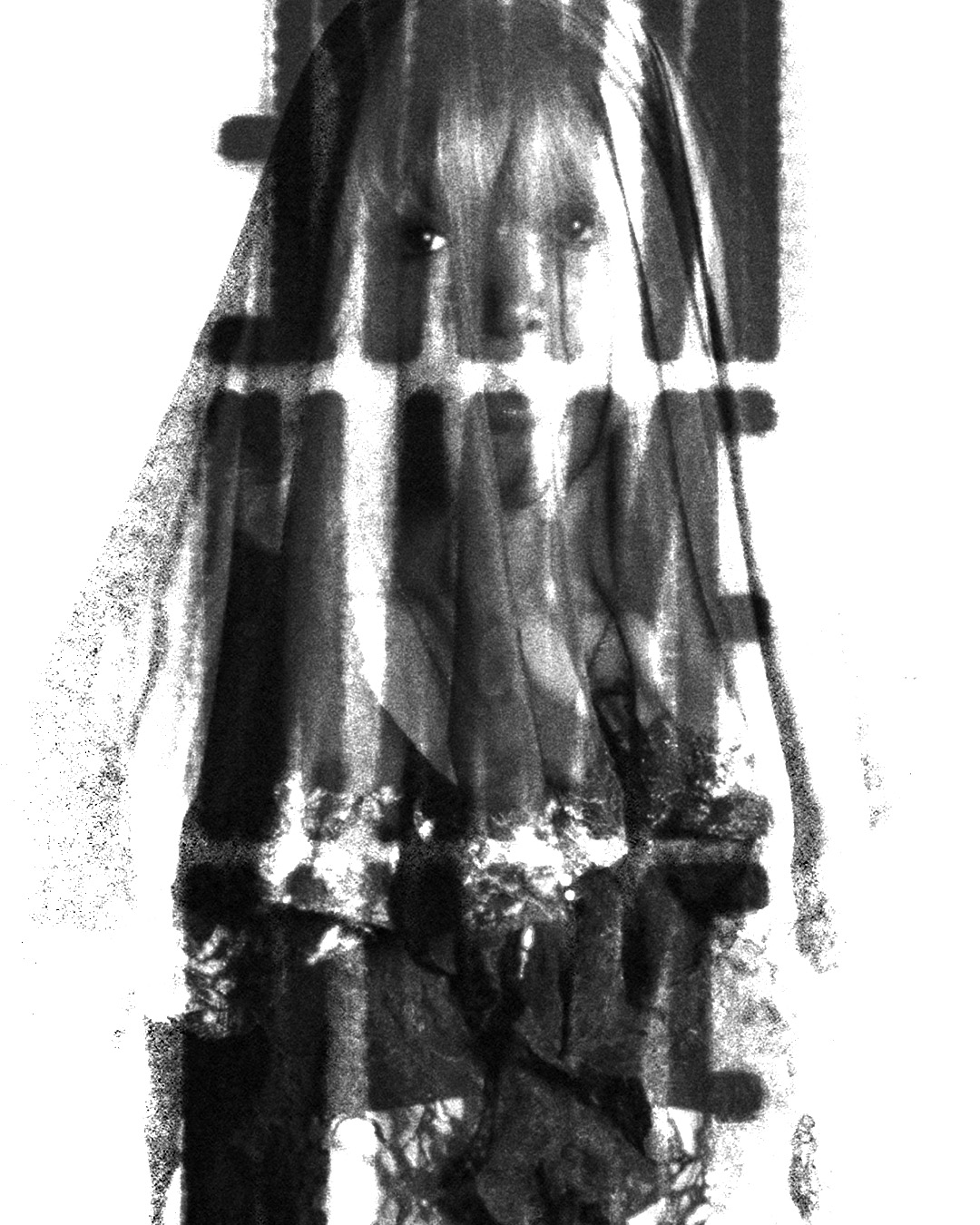 Baugh_InWakePoster_3 .jpg