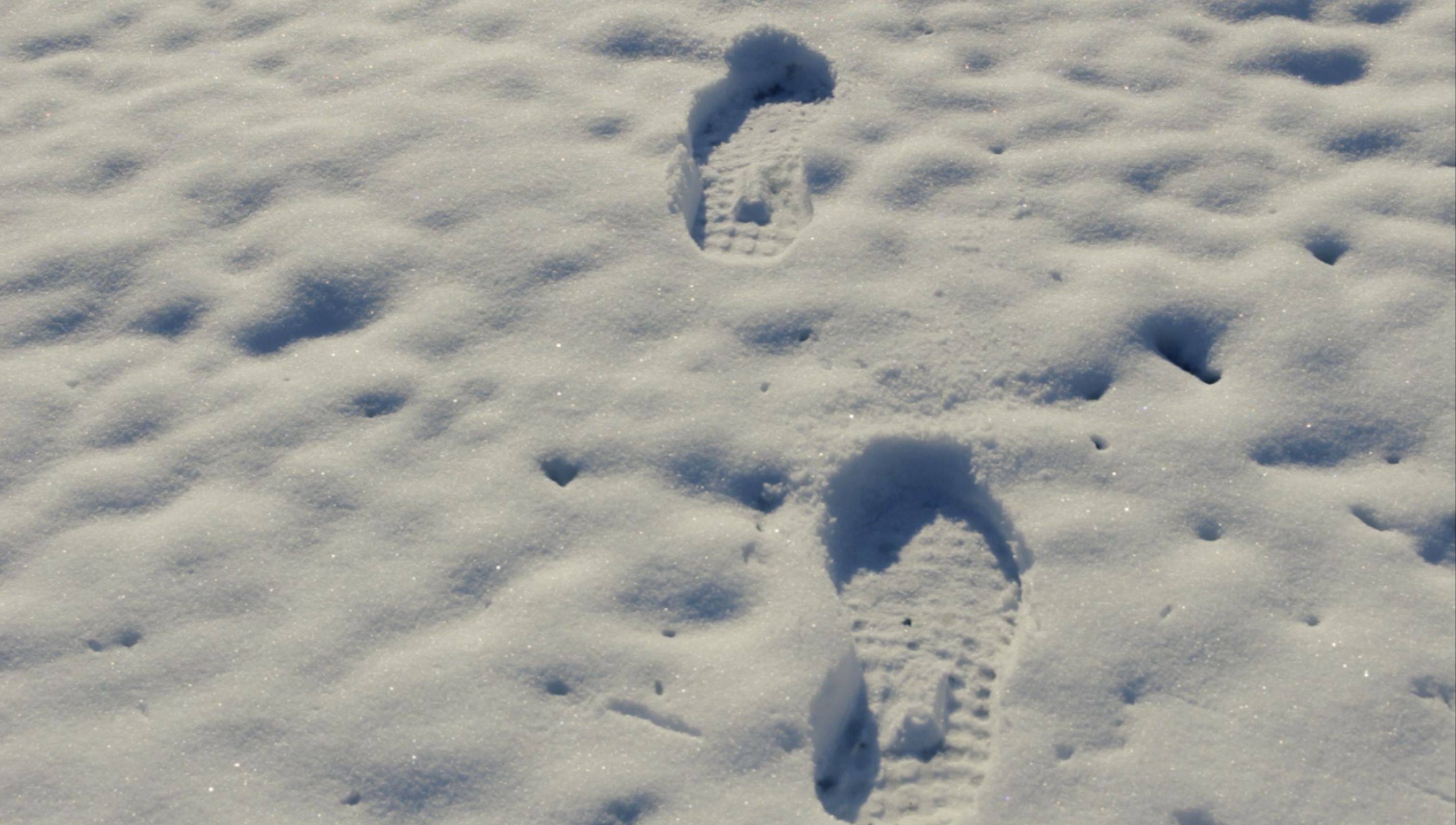snowprints.png