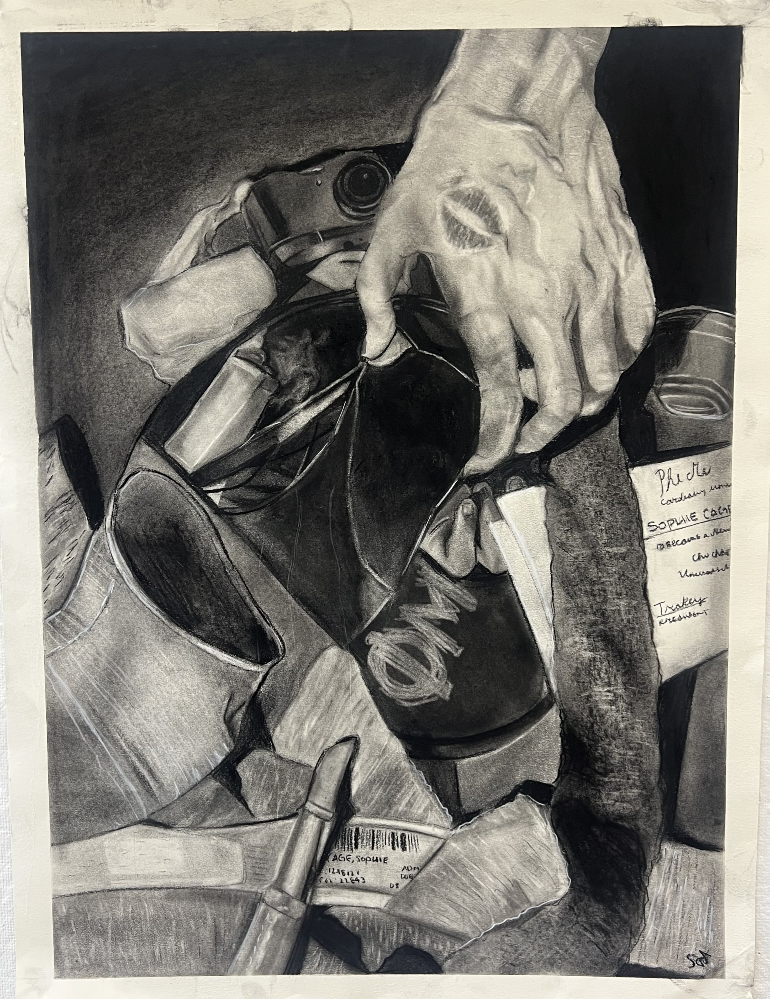 Sophie Cage: Under the Influence