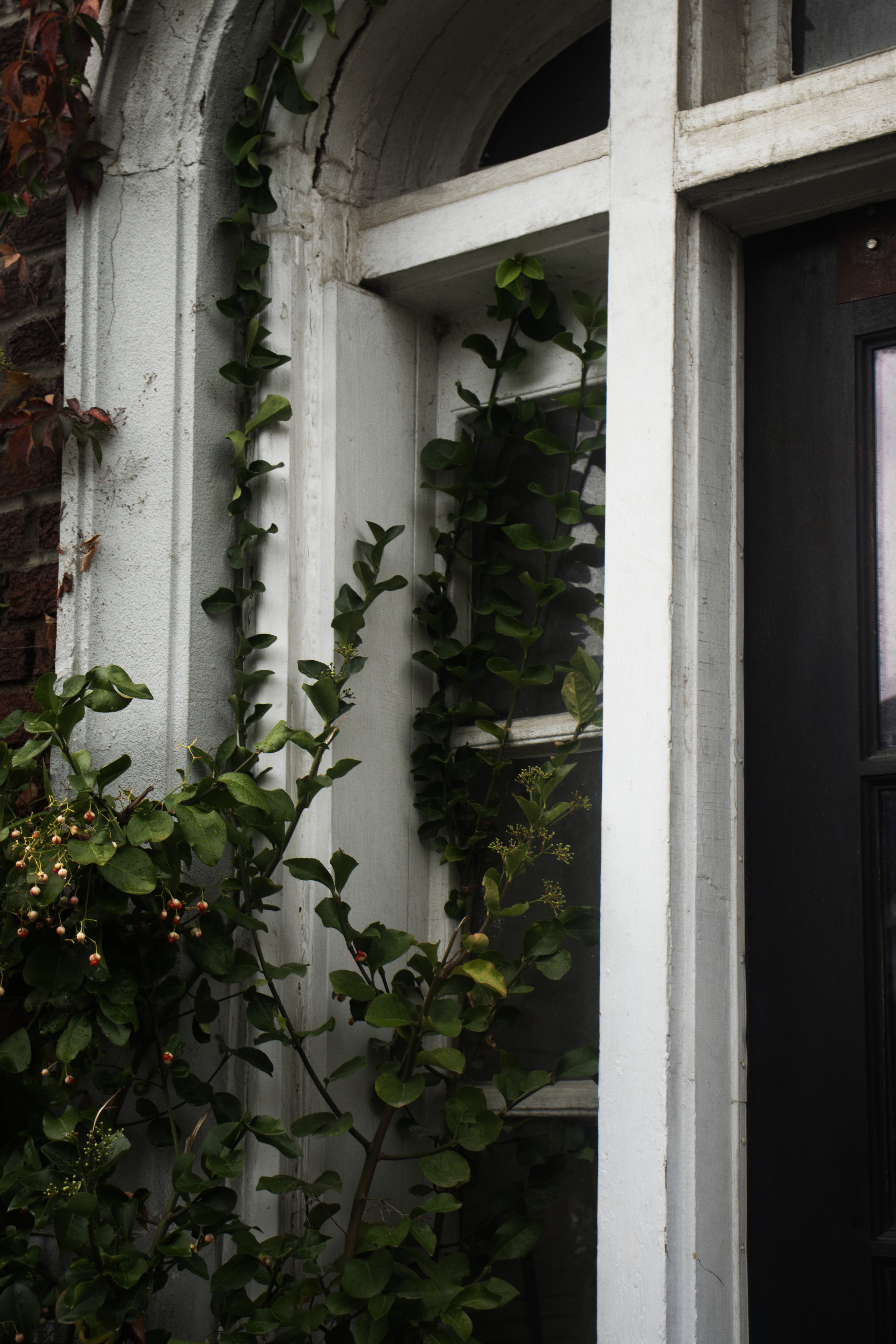 Beverly2_PRINT copy.tif