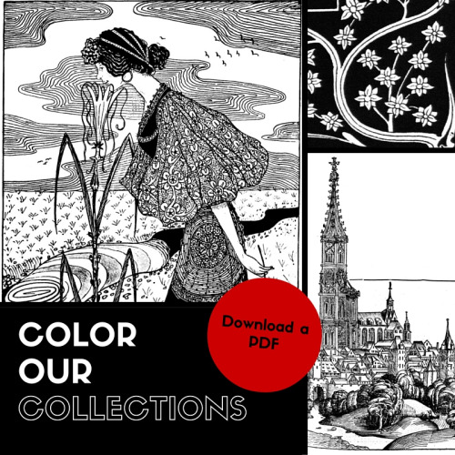 Color Our Collections