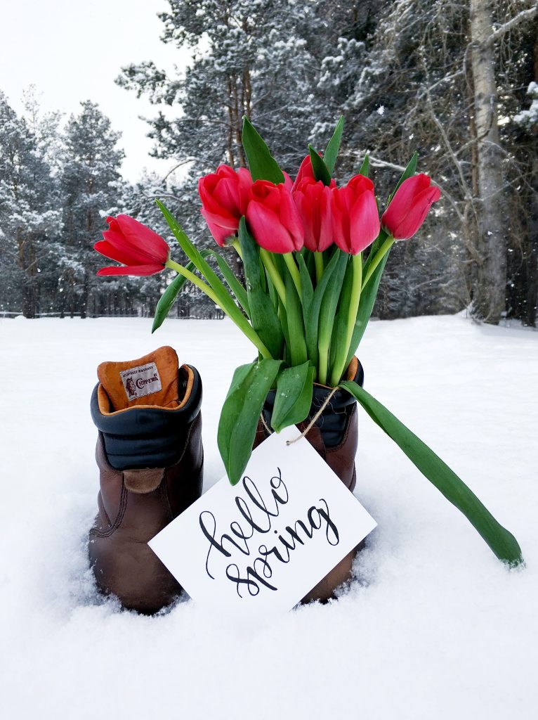 Sign Reading "Hello Spring" with snow in the background