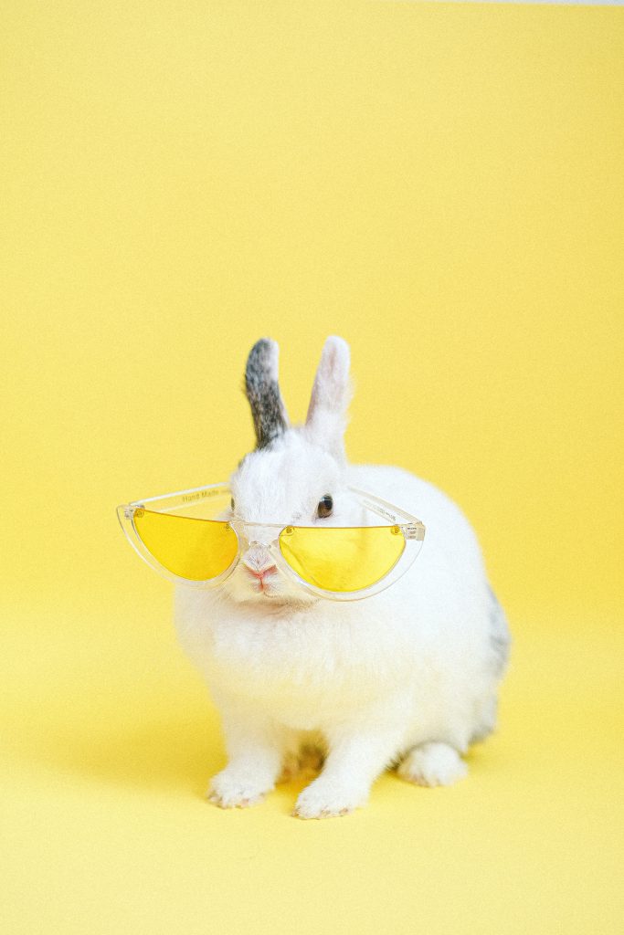 White rabbit wearing a paper of yellow sunglasses against a yellow background