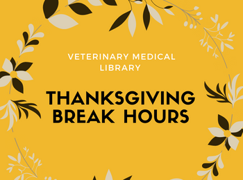 Gold and Black image with the words, "Veterinary Medical Library Thanksgiving Break Hours"
