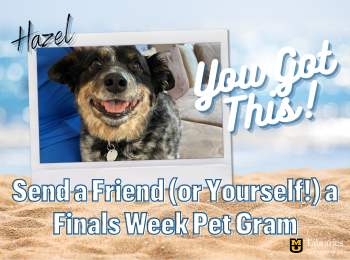 Send a Friend (or Yourself!) a Finals Week Pet Gram