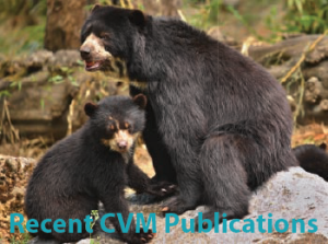 Recent CVM Publications (September 2025)