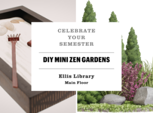 Celebrate Your Semester: DIY Mini Zen Gardens