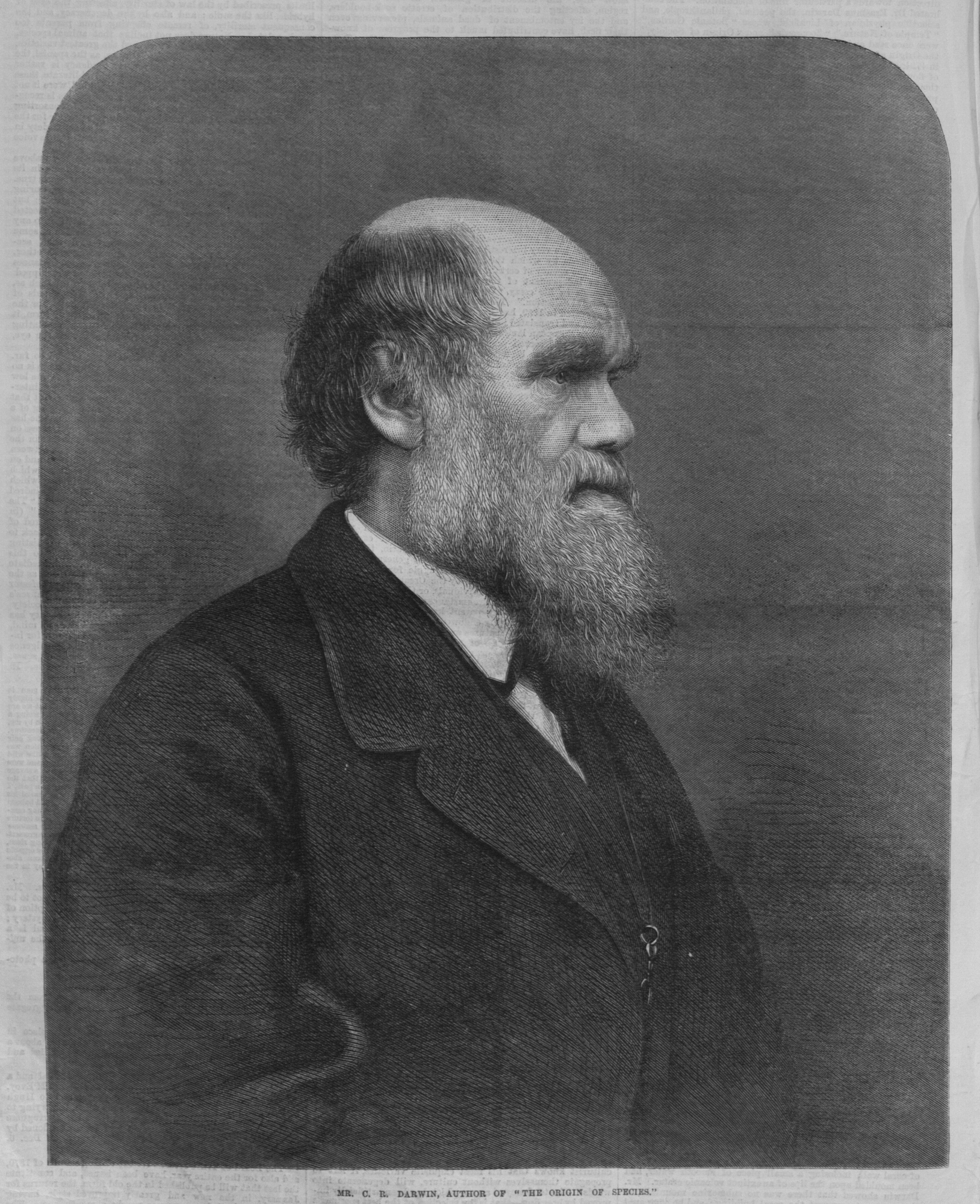 Engraved portrait of Charles Darwin.