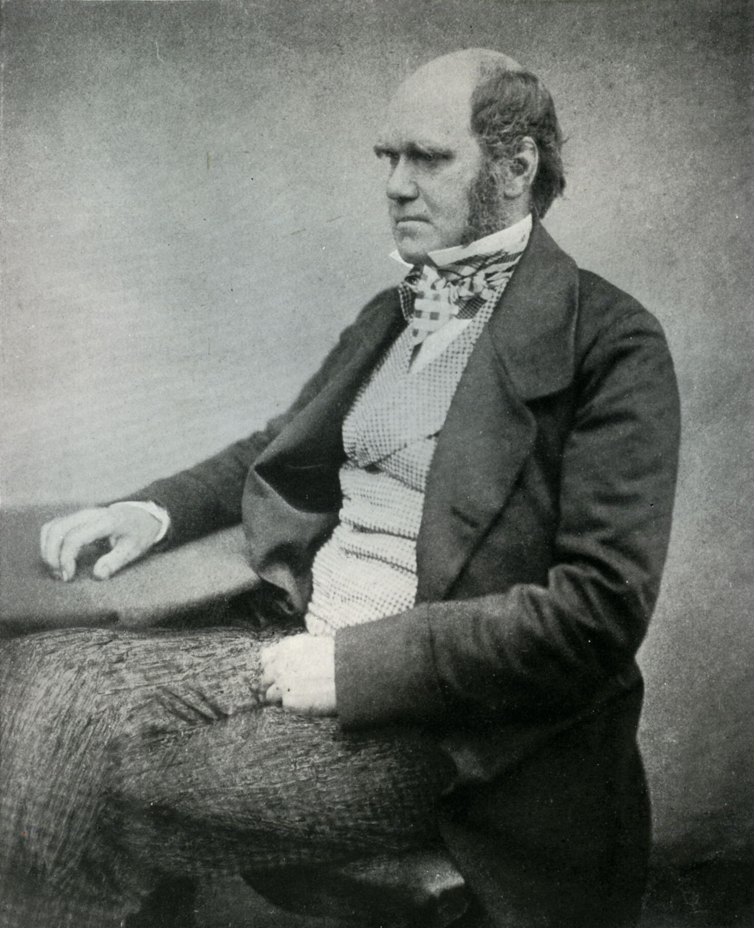 Reproduction of photograph "Charles Darwin" by Maull and Fox