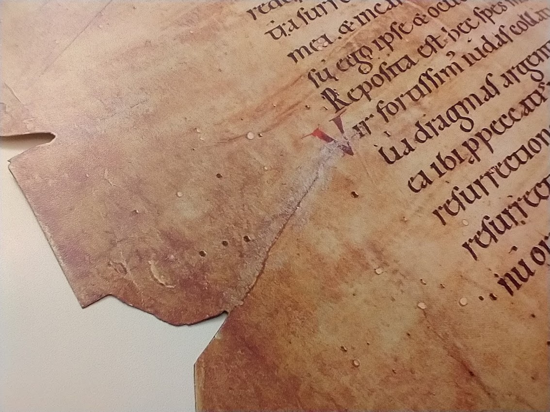 parchment  Art History Glossary