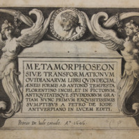 Metamorphoseon : sive transformationum ovidianarum libri quindecim, aeneis formis