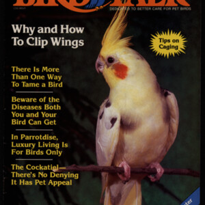 BirdTalk1984Vol2p0001.jpg