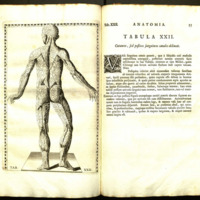 anatomicae0003.jpg