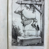Philippe-Etienne LaFosse, Cours d'hippiatrique, ou Traité complet de la médecine des chevaux (1772) 05.jpeg