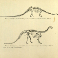 paleontology2.jpg