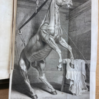 Philippe-Etienne LaFosse, Cours d'hippiatrique, ou Traité complet de la médecine des chevaux (1772) 06.jpeg