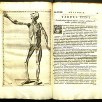 anatomicae0004.jpg